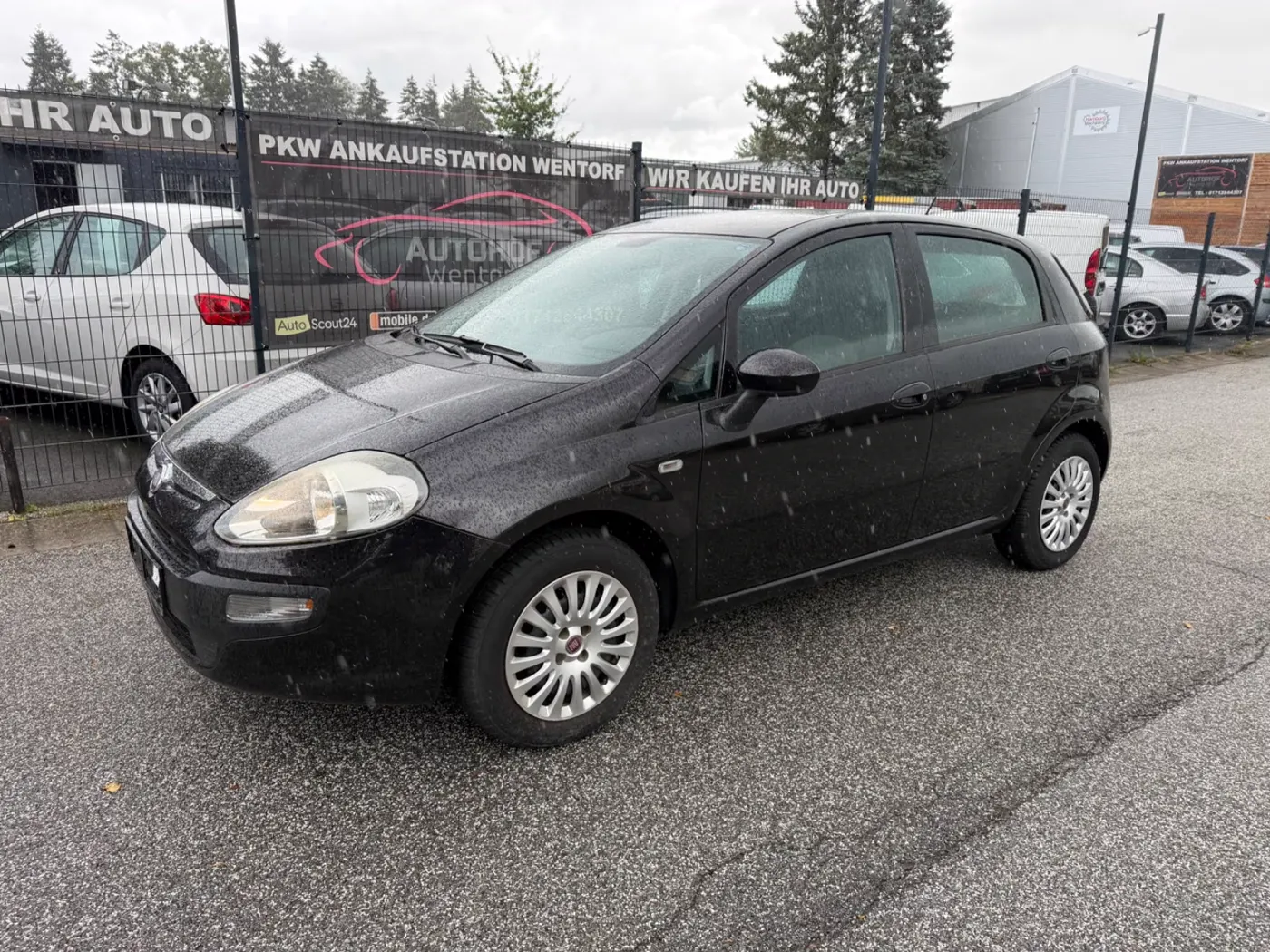 Fiat Punto Evo