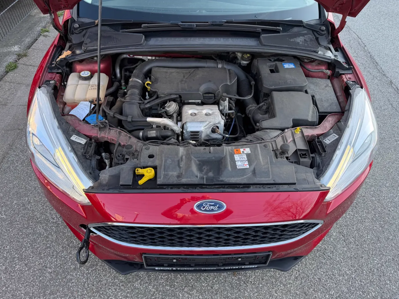 Ford Focus — Ansicht 3