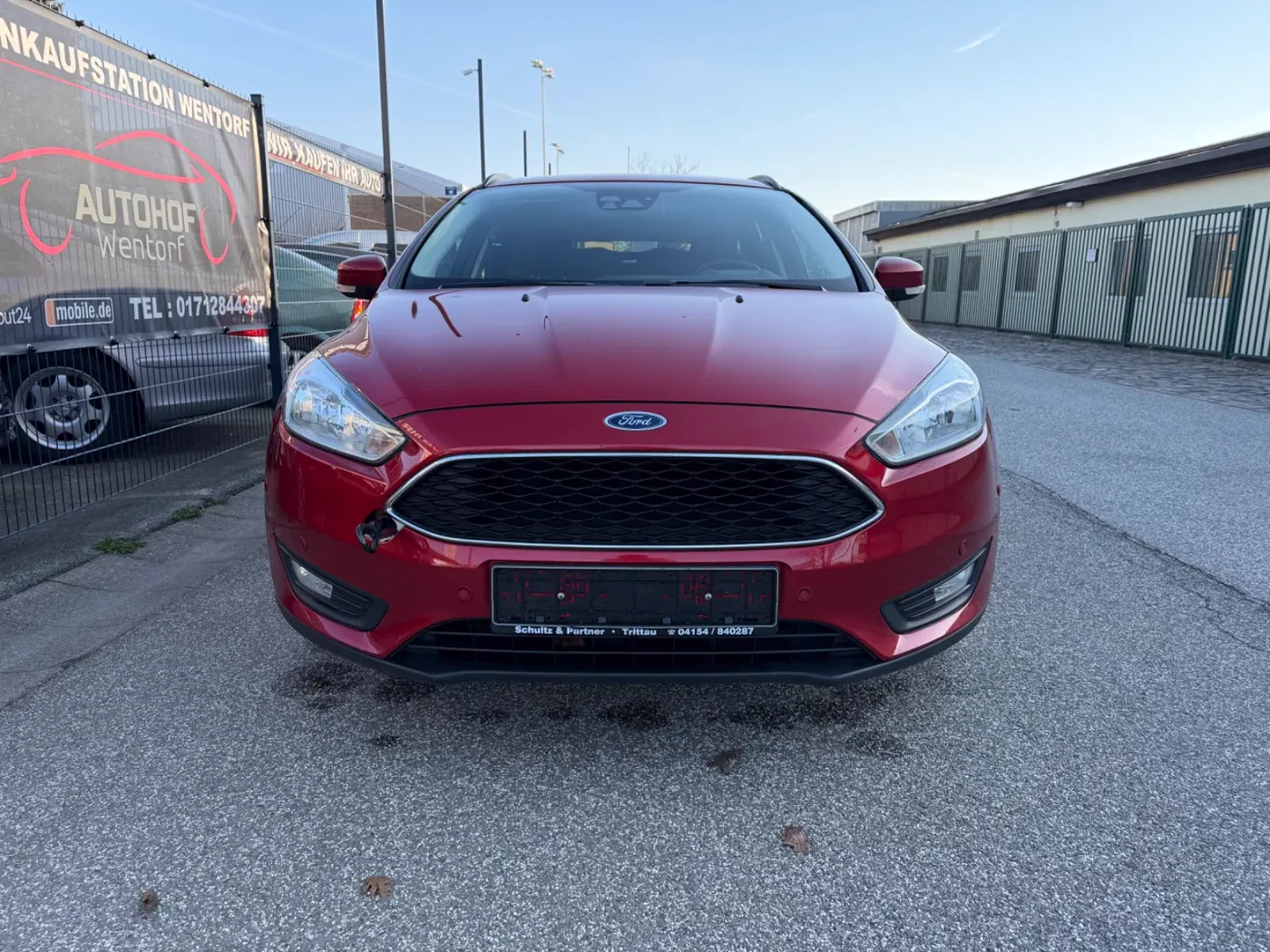 Ford Focus — Ansicht 6