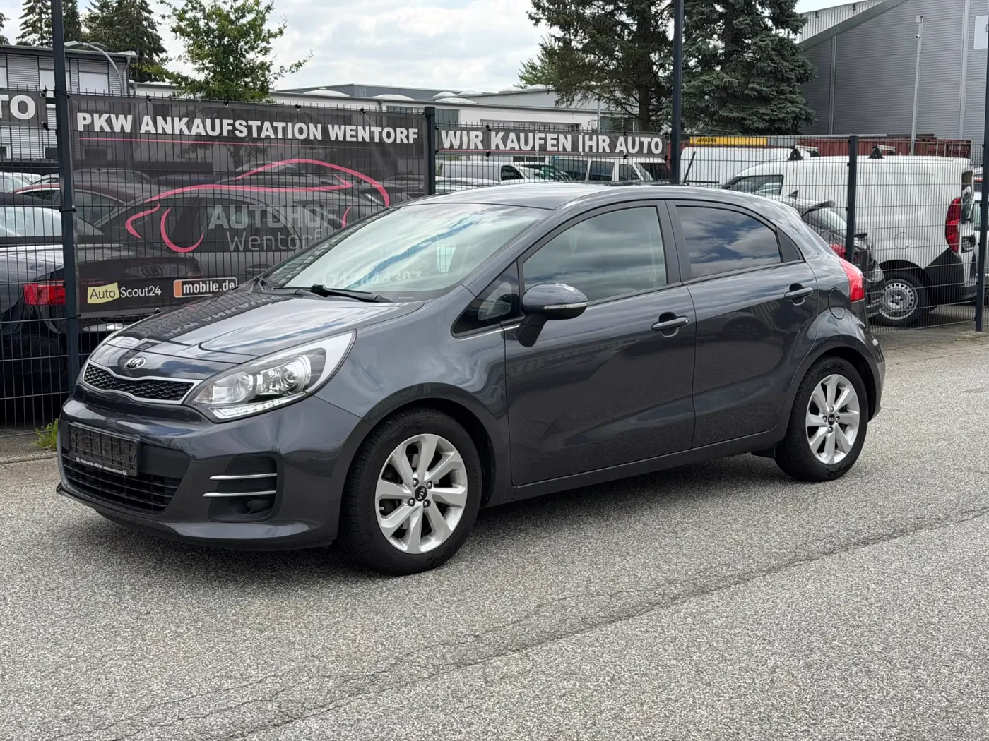 Kia Rio