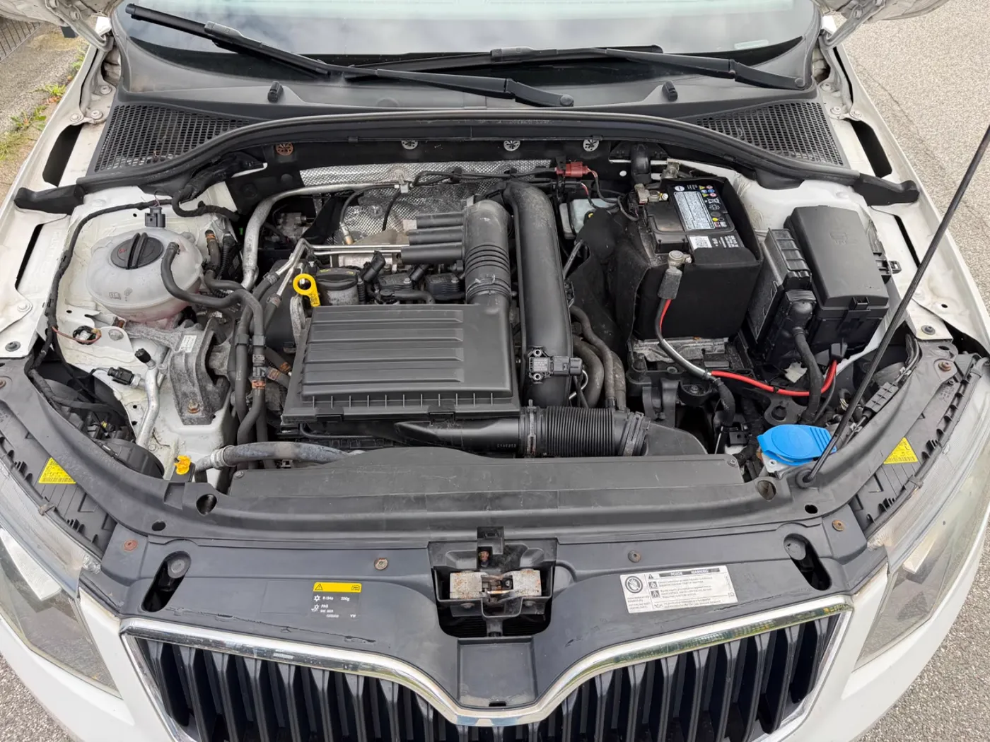 Skoda Octavia — Ansicht 6