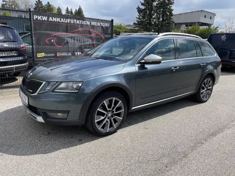Skoda Octavia Scout, Erstzulassung 01/2019