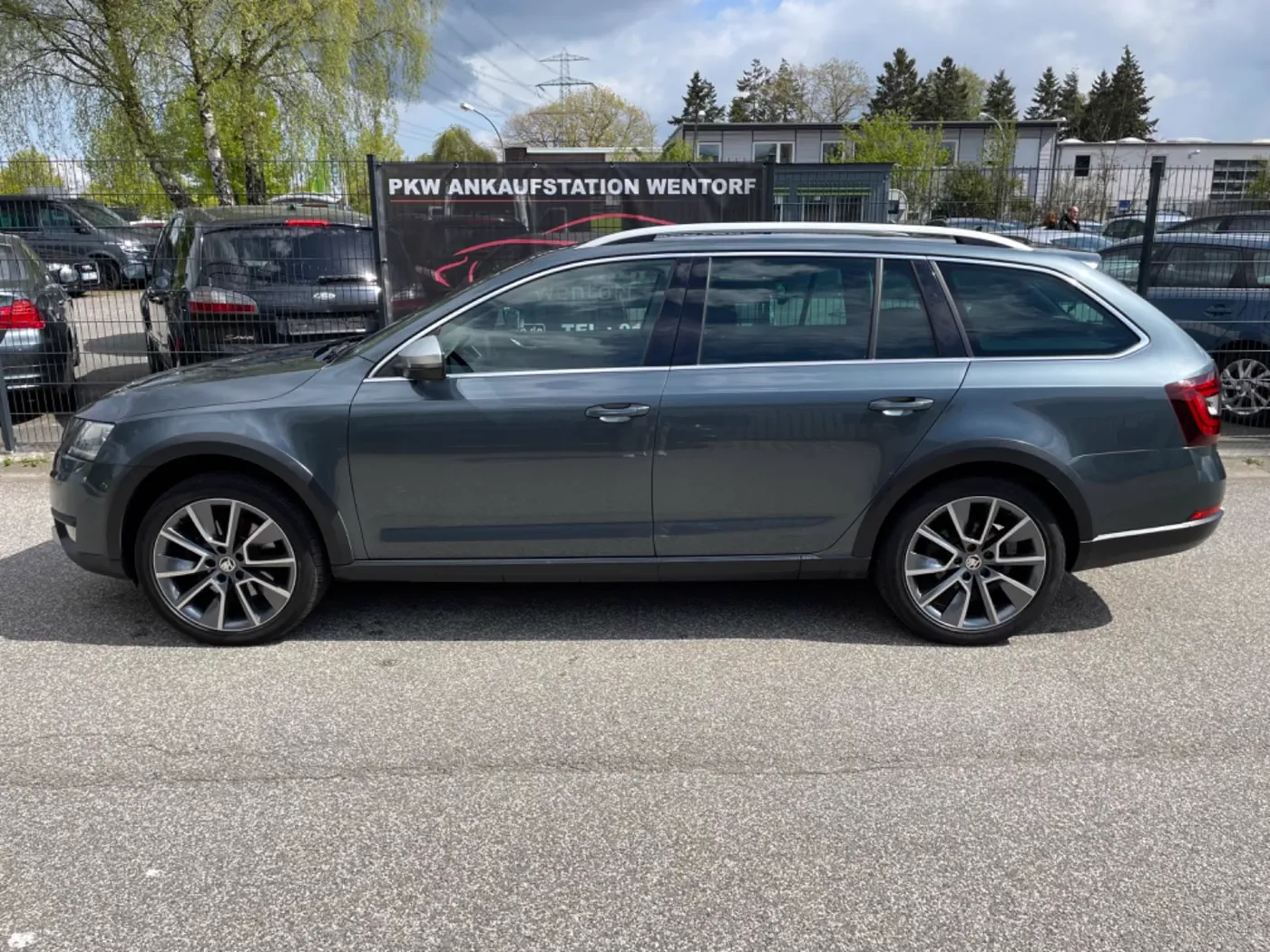 Skoda Octavia — Ansicht 6